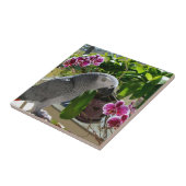 Afrikanischer Graupapagei mit Orchideen Fliese (Seite)