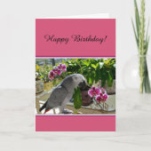 Afrikanischer Graupapagei mit Orchideen Karte (Vorderseite)