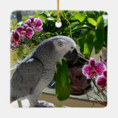 Afrikanischer Graupapagei mit Orchideen Keramikornament (Rückseite)