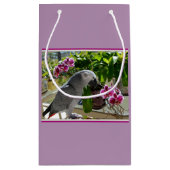Afrikanischer Graupapagei mit Orchideen Kleine Geschenktüte (Rückseite)