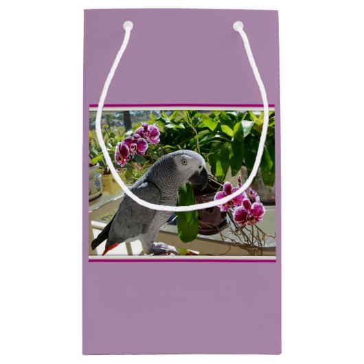 Afrikanischer Graupapagei mit Orchideen Kleine Geschenktüte (Rückseite)