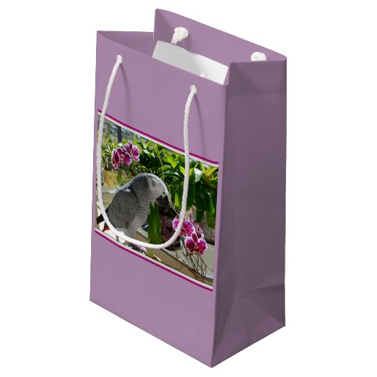 Afrikanischer Graupapagei mit Orchideen Kleine Geschenktüte (Rückseite Schrägansicht)