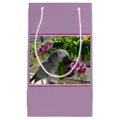 Afrikanischer Graupapagei mit Orchideen Kleine Geschenktüte (Vorderseite)