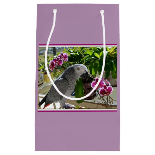 Afrikanischer Graupapagei mit Orchideen Kleine Geschenktüte (Vorderseite)