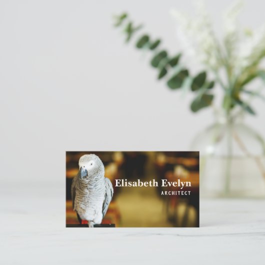Afrikanischer Graupapagei oder afrikanischer Kongo Visitenkarte (Stehend Vorderseite)
