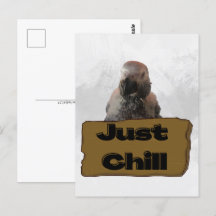 Afrikanischer Graupapagei, Postcross Postcard