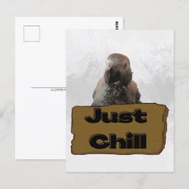 Afrikanischer Graupapagei, Postcross Postcard Postkarte