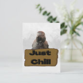 Afrikanischer Graupapagei, Postcross Postcard Postkarte (Stehend Vorderseite)