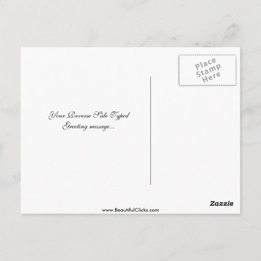 Afrikanischer Graupapagei Postkarte (Rückseite)