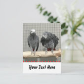 Afrikanischer Graupapagei, Postkreuz Postkarte (Stehend Vorderseite)