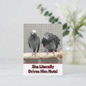 Afrikanischer Graupapagei, Postkreuz Postkarte (Stehend Vorderseite)