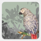 Afrikanischer Graupapagei Quadratischer Aufkleber (Vorderseite)