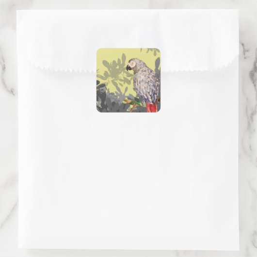 Afrikanischer Graupapagei Quadratischer Aufkleber (Tasche)