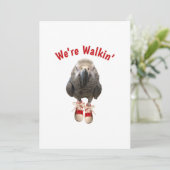 afrikanischer Graupapagei-Tennisschuh Save The Date (Stehend Vorderseite)