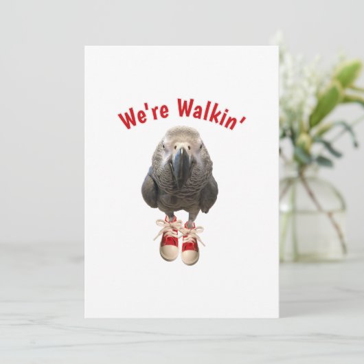 afrikanischer Graupapagei-Tennisschuh Save The Date (Stehend Vorderseite)