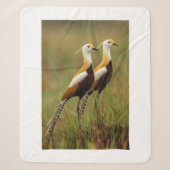 Afrikanischer Jacana-Vogel-Decke Sherpadecke (Vorderseite)