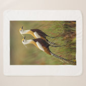 Afrikanischer Jacana-Vogel-Decke Sherpadecke (Vorderseite (Horizontal))