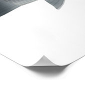 Afrikanischer Karpfen Poster (Ecke)