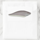 Afrikanischer Knifefisch Rechteckiger Aufkleber (Tasche)