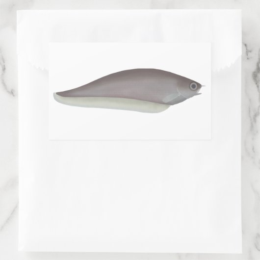 Afrikanischer Knifefisch Rechteckiger Aufkleber (Tasche)