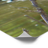 afrikanischer Krandruck Poster (Ecke)