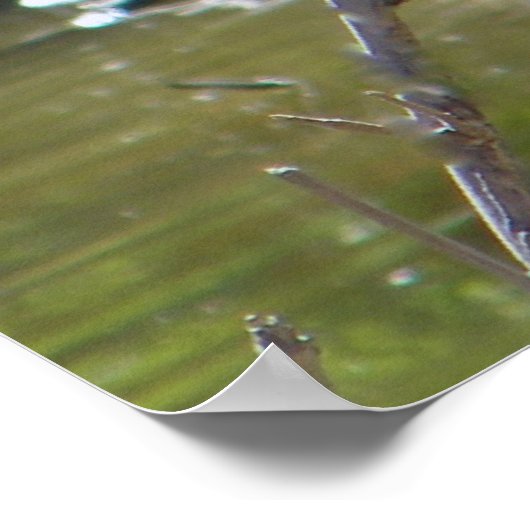 afrikanischer Krandruck Poster (Ecke)