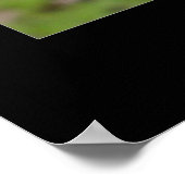 Afrikanischer Kranich Poster (Ecke)