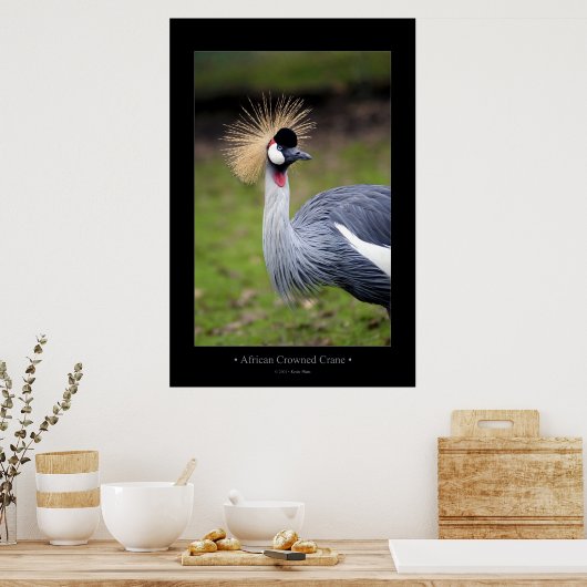 Afrikanischer Kranich Poster (Küche)