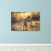 Afrikanischer Leopard auf Hinterbeinen, Namibia, A Leinwanddruck (Insitu (Holzboden))