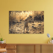 Afrikanischer Leopard auf Hinterbeinen, Namibia, A Leinwanddruck (Insitu (Wohnzimmer))