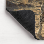 Afrikanischer Leopard auf Hinterbeinen, Namibia, A Mousepad (Ecke)