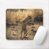 Afrikanischer Leopard auf Hinterbeinen, Namibia, A Mousepad (Mit Mouse)