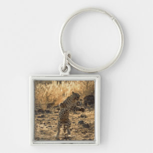Afrikanischer Leopard auf Hinterbeinen, Namibia, Schlüsselanhänger