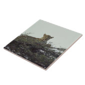 Afrikanischer Leopard Fliese (Seite)