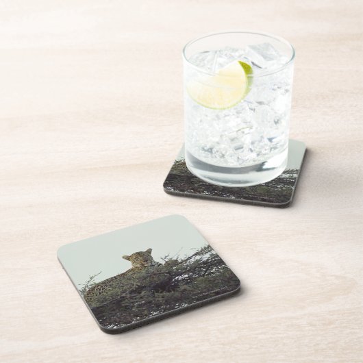 Afrikanischer Leopard Getränkeuntersetzer (Rechte Seite)