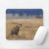 Afrikanischer Leopard im Grasland, Kenia, Afrika Mousepad (Mit Mouse)