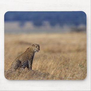 Afrikanischer Leopard in den Wiesen, Kenia, Afrika Mousepad