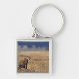 Afrikanischer Leopard in den Wiesen, Kenia, Afrika Schlüsselanhänger