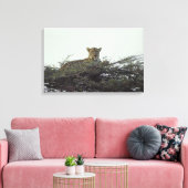 afrikanischer Leopard Leinwanddruck (Insitu (Wohnzimmer))