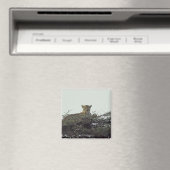 afrikanischer Leopard Magnet (In Situ (Geschirrspüler))