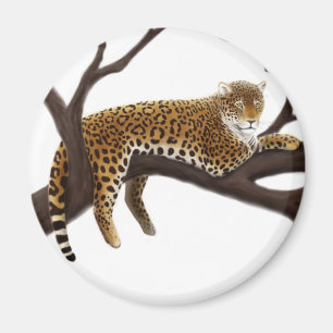 Afrikanischer Leopard-Magnet Magnet