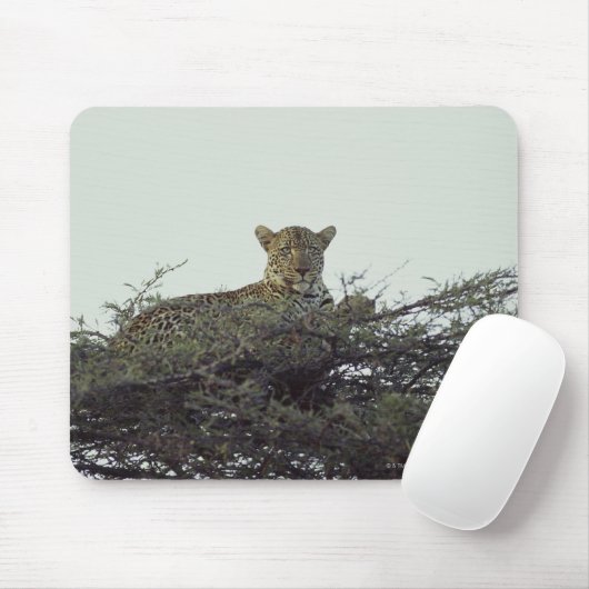 afrikanischer Leopard Mousepad (Mit Mouse)