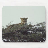 afrikanischer Leopard Mousepad (Vorne)