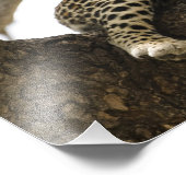 Afrikanischer Leopard, Panthera pardus Fotodruck (Ecke)