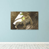 Afrikanischer Leopard, Panthera pardus Leinwanddruck (Insitu (Holzboden))