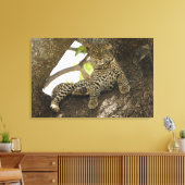 Afrikanischer Leopard, Panthera pardus Leinwanddruck (Insitu (Wohnzimmer))