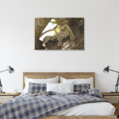 Afrikanischer Leopard, Panthera pardus Leinwanddruck (Insitu (Schlafzimmer))