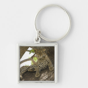 Afrikanischer Leopard, Panthera pardus Schlüsselanhänger