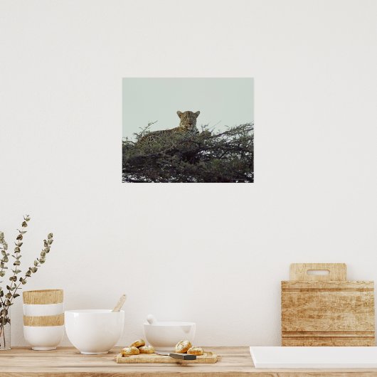 afrikanischer Leopard Poster (Küche)