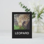 Afrikanischer Leopard Postkarte (Stehend Vorderseite)